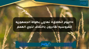 «اليوم انطلاق» نهائي بطولة الجمهورية للفروسية لقادرون باختلاف لذوي الهمم